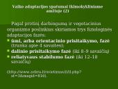 Šeimos ir asmenybės adaptacija 14 puslapis