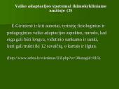 Šeimos ir asmenybės adaptacija 15 puslapis