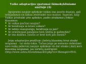 Šeimos ir asmenybės adaptacija 16 puslapis