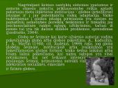 Šeimos ir asmenybės adaptacija 18 puslapis