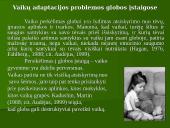 Šeimos ir asmenybės adaptacija 19 puslapis