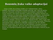 Šeimos ir asmenybės adaptacija 7 puslapis