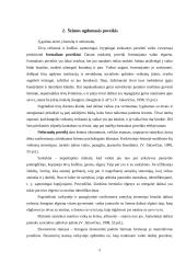 Šeimos pagalba besimokantiems 5 puslapis