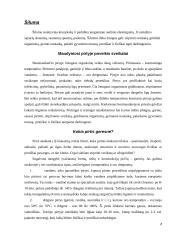 Šiluma ir šaltis 2 puslapis