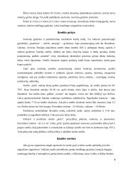 Šiluma ir šaltis 4 puslapis