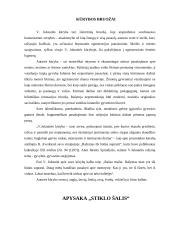 Šiuolaikinė populiarioji lietuvių literatūra 9 puslapis