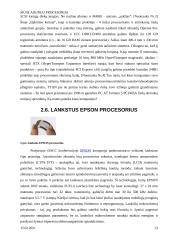 Šiuolaikiniai procesoriai 12 puslapis