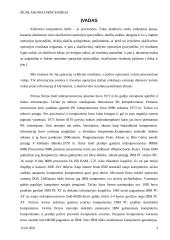 Šiuolaikiniai procesoriai 2 puslapis