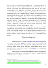 Tarptautiniai ekonominiai santykiai išsivysčiusiose šalyse 11 puslapis