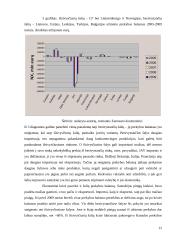 Tarptautiniai ekonominiai santykiai išsivysčiusiose šalyse 12 puslapis