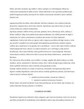 Tarptautiniai protokolai 5 puslapis