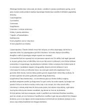 Tarptautiniai protokolai 8 puslapis