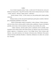 Tarptautinis protokolas: Turkija