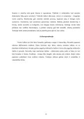 Tarptautinis protokolas: Turkija 11 puslapis