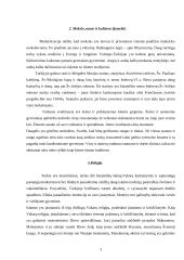 Tarptautinis protokolas: Turkija 3 puslapis