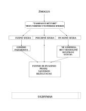 Tarpukario Lietuvos pedagogas. Antanas Maceina 11 puslapis