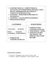 Tarpukario Lietuvos pedagogas. Antanas Maceina 12 puslapis