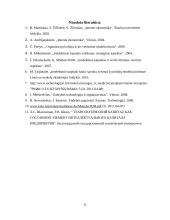 Technologinis kapitalas 11 puslapis