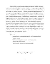 Technologinis kapitalas 3 puslapis