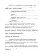 Technologinis kapitalas 7 puslapis