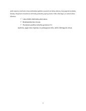 Technologinis kapitalas 9 puslapis