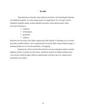 Technologinis kapitalas 10 puslapis