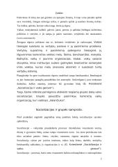 Teigiama grupės įtaka vaiko socializacijai 2 puslapis