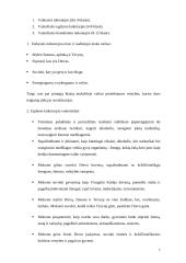 Teigiama grupės įtaka vaiko socializacijai 7 puslapis