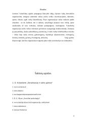 Teigiama grupės įtaka vaiko socializacijai 9 puslapis