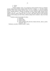 Juridiniai asmenys  ir nuomos sutarties rašymas 14 puslapis