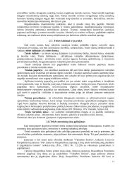 Teisė, pagrindinės teisės rūšys 11 puslapis