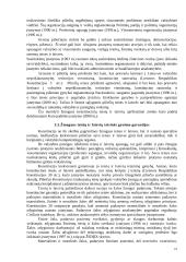 Teisė, pagrindinės teisės rūšys 20 puslapis