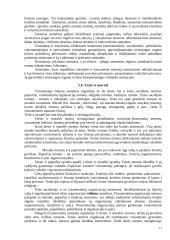 Teisė, pagrindinės teisės rūšys 10 puslapis