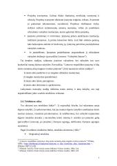 Teisėkūros samprata 7 puslapis