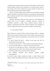 Teisės aiškinimo samprata bei teisinės argumentacijos šaltinių problema 13 puslapis