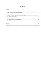 Teisės į teisingą teismą įgyvendinimo ypatumai Lietuvos didžiojoje kunigaikštystėje 2 puslapis