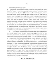 Teisės į teisingą teismą įgyvendinimo ypatumai Lietuvos didžiojoje kunigaikštystėje 12 puslapis