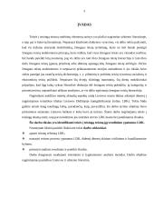 Teisės į teisingą teismą įgyvendinimo ypatumai Lietuvos didžiojoje kunigaikštystėje 3 puslapis