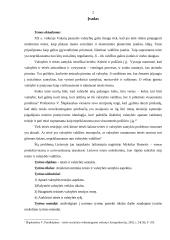 Valstybės teorijos bei teisės ir valstybės abipusė įtaka 2 puslapis