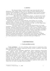 Teisės pažeidimų terminas