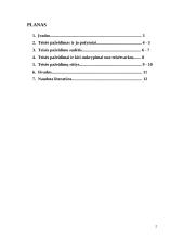 Teisės pažeidimas ir jo rūšys 2 puslapis