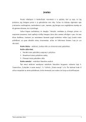 Teisės pažeidimo rūšys 2 puslapis