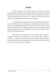 Teisės pažeidimo rūšys 11 puslapis