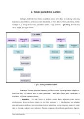 Teisės pažeidimo rūšys 5 puslapis