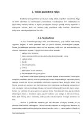 Teisės pažeidimo rūšys 8 puslapis