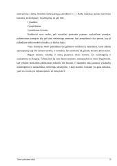 Teisės pažeidimo rūšys 10 puslapis