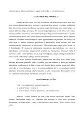 Teisės principai 5 puslapis