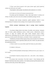 Teisės principai 8 puslapis