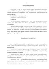 Teisės principai, rūšys, jų praktinė analizė 11 puslapis