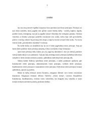 Teisės principai, rūšys, jų praktinė analizė 3 puslapis